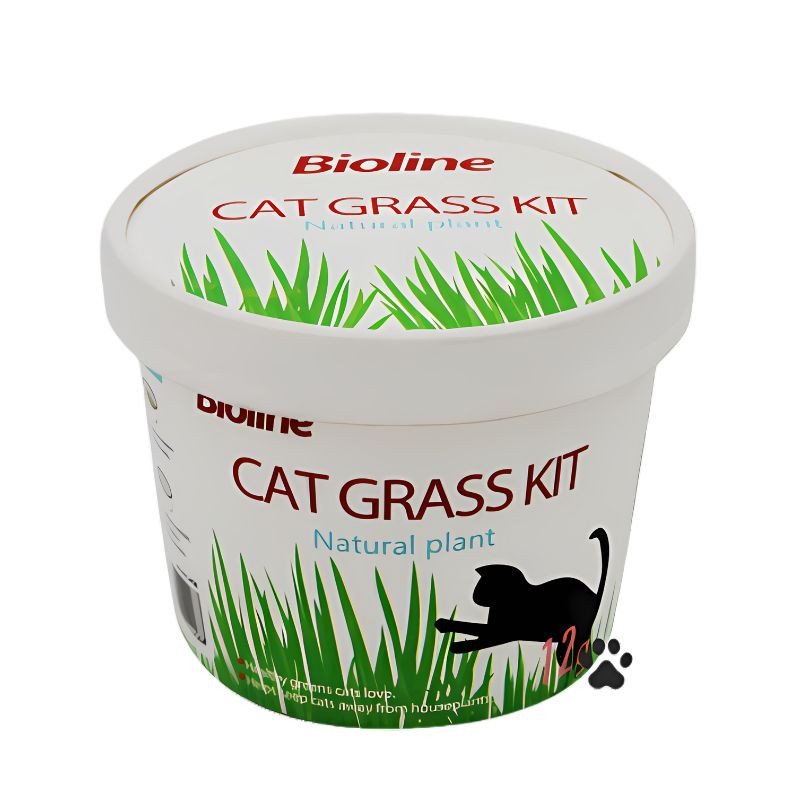 Bioline Cat Grass Kit Natural Plant