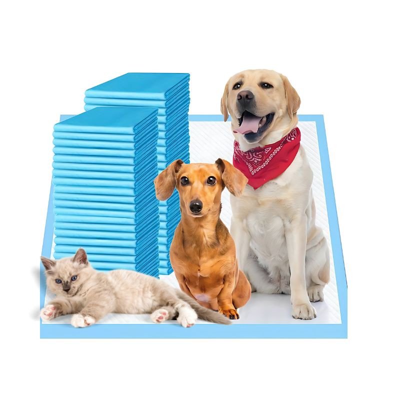 CARTON PET PEE PAD TRAINING MAT XL 20 SLICE 8 PACK 60CM X 90CM