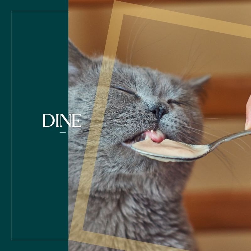 Dine